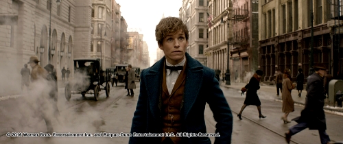 ภาพจากหนังชุดล่าสุด Fantastic Beasts and Where to Find Them